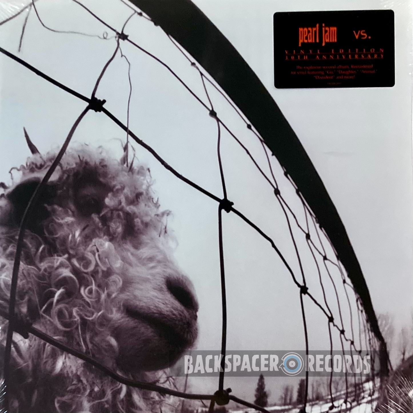 Pearl Jam – Vs. 2-LP (Sealed)