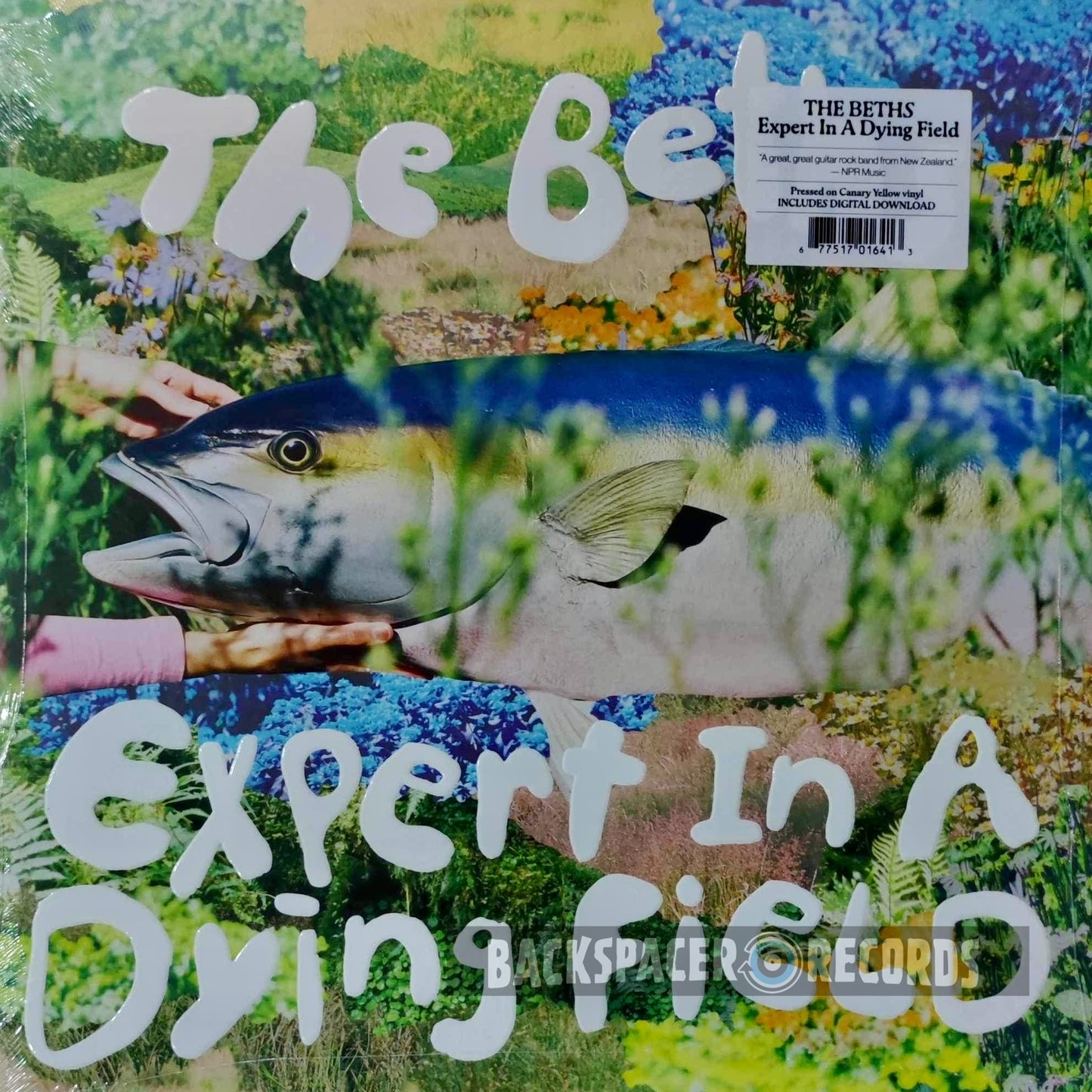 The Beths - Expert In A Dying Field LP (Sealed)