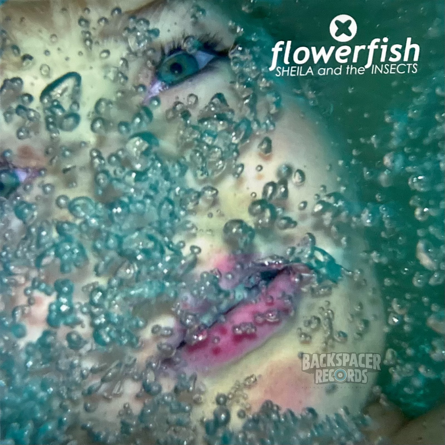 Sheila And The Insects – Flowerfish LP (TGM Records)