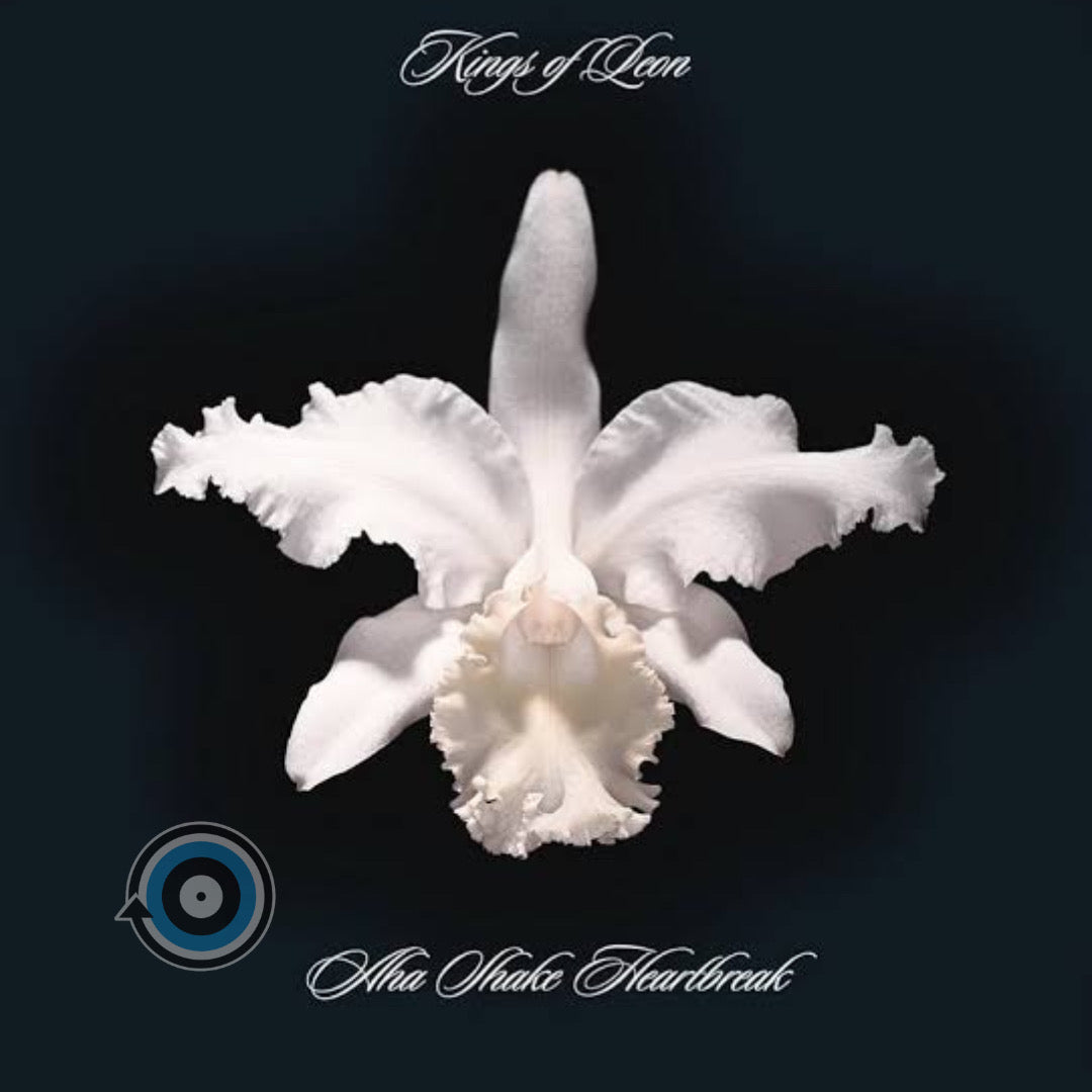 Kings Of Leon – Aha Shake Heartbreak 2-LP (Sealed)