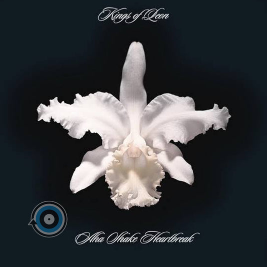 Kings Of Leon – Aha Shake Heartbreak 2-LP (Sealed)