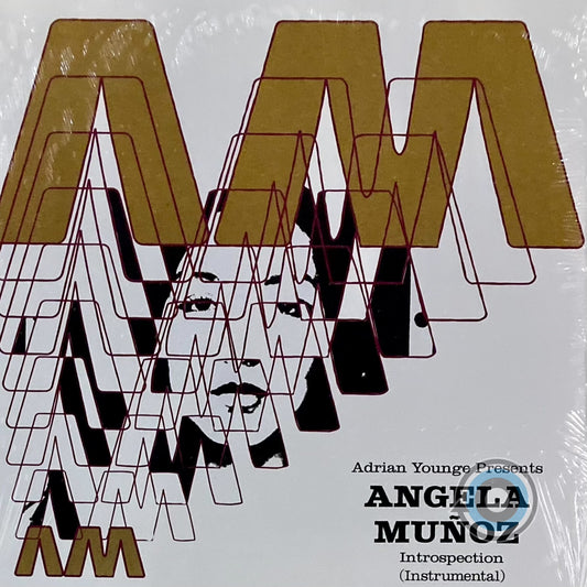 Adrian Younge Presents Angela Muñoz – Introspection Instrumental LP (Sealed)