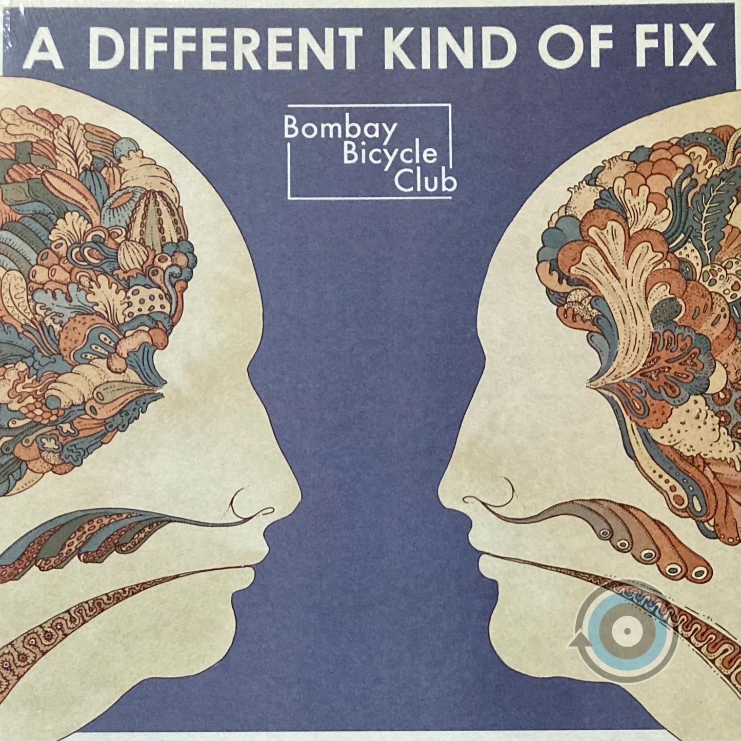 Bombay Bicycle Club - A Different Kind Of Fix LP (Sealed)