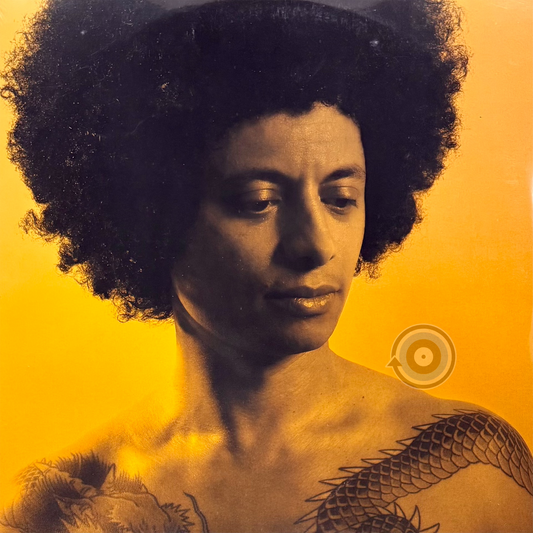 José James ‎– No Beginning No End 2-LP (Sealed)