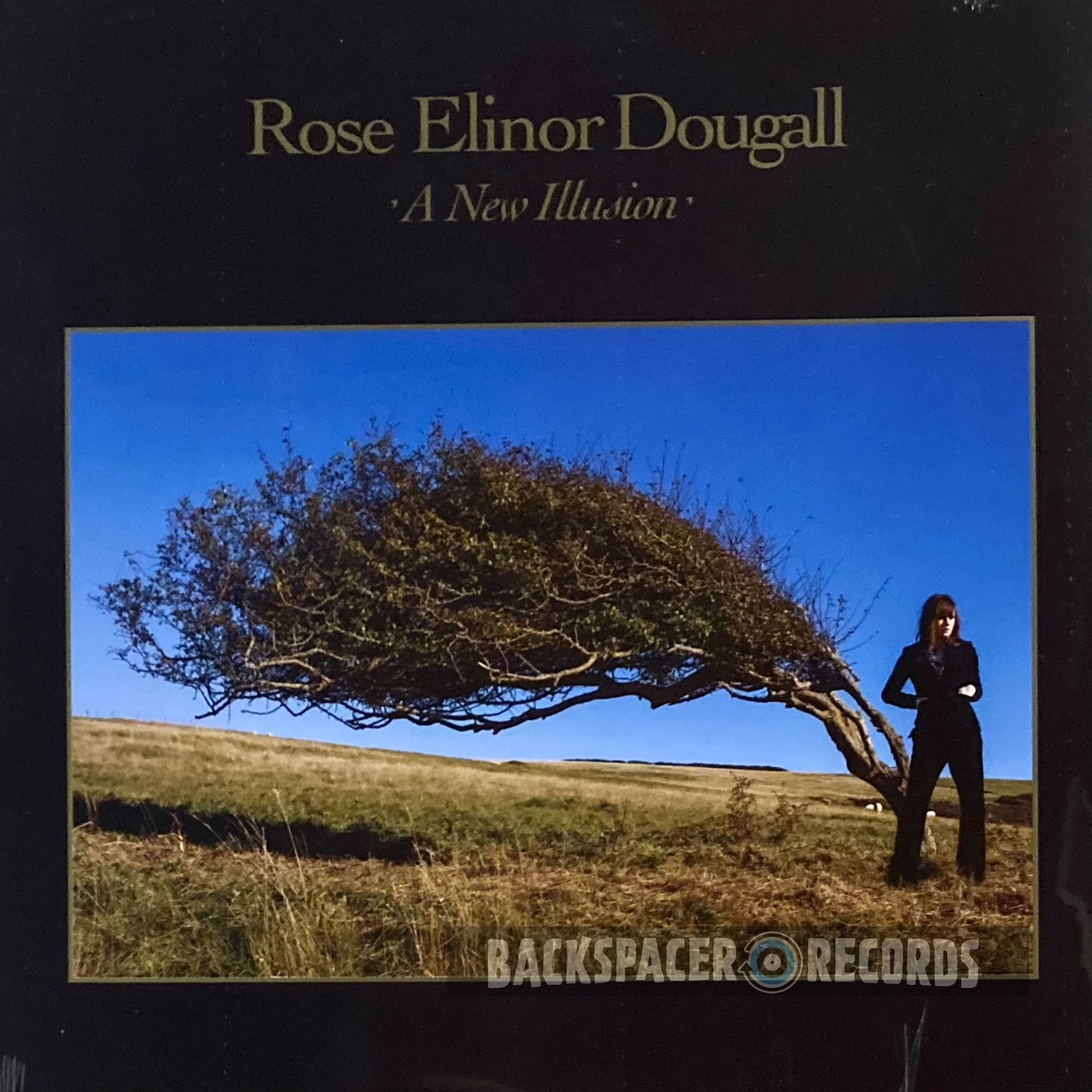 Rose Elinor Dougall – A New Illusion LP (Sealed)