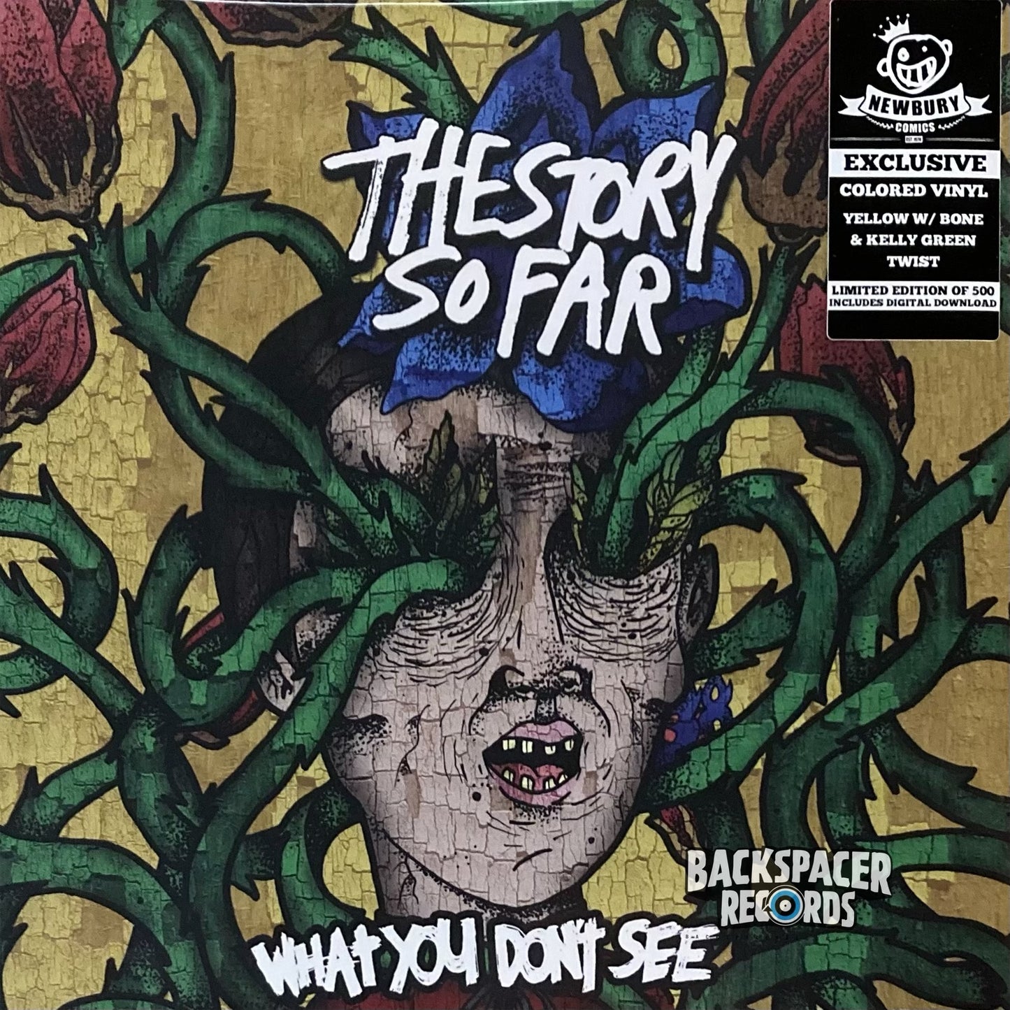 The Story So Far – What You Don't See (Limited Edition) LP (Sealed)