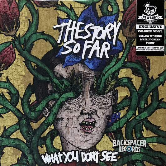 The Story So Far – What You Don't See LP (Limited Edition)